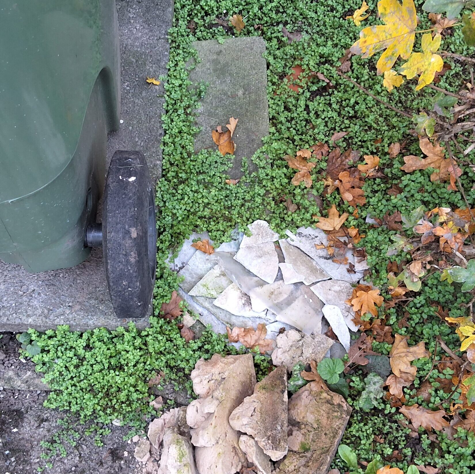 Domestic Page - non-licensed new